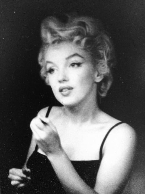 Marilyn Portraits #105962411