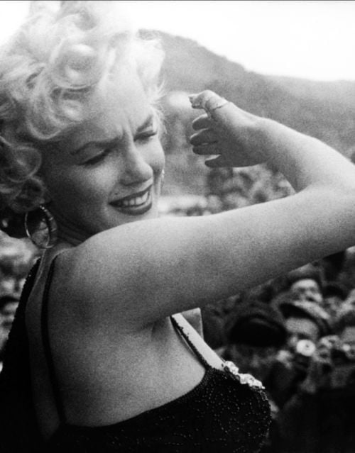 Marilyn Portraits #105962413