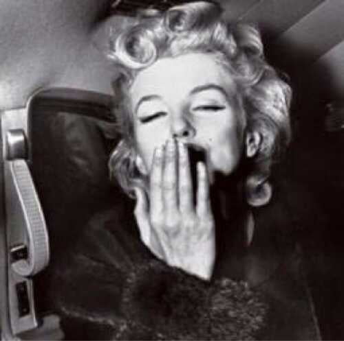 Marilyn Portraits #105962416