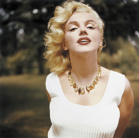 Marilyn Portraits #105962423