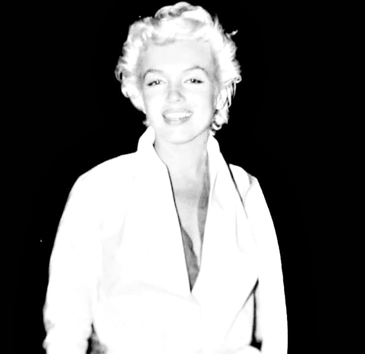 Marilyn Portraits #105962428