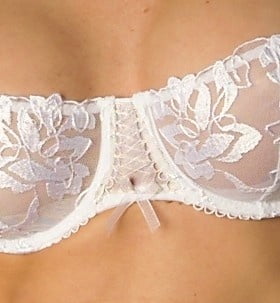 Immagini del reggiseno ad alta definizione
 #94869139