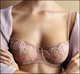 Immagini del reggiseno ad alta definizione
 #94870098