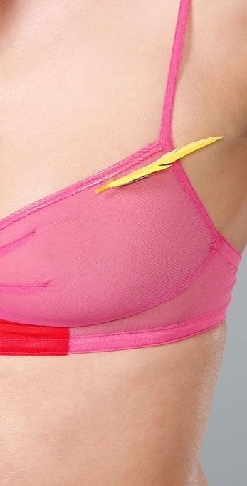 Immagini del reggiseno ad alta definizione
 #94870247