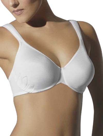 Immagini del reggiseno ad alta definizione
 #94870270