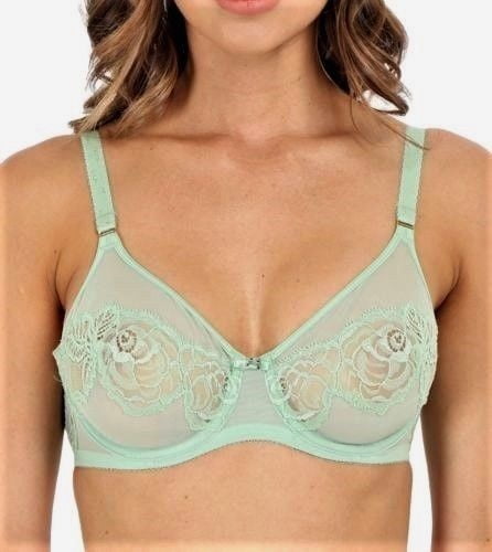 Immagini del reggiseno ad alta definizione
 #94870323