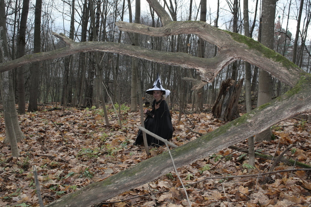 Witch with broom in forest #106868498