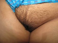 Hairy Big Pussy Picture