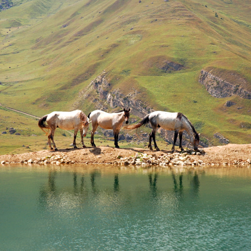 Tolle mädchen + bilder aus aserbaidschan
 #97523151