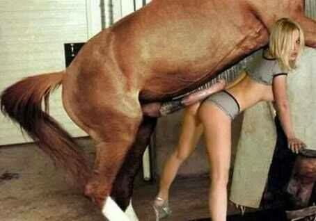 こんにちは。
 #92673302