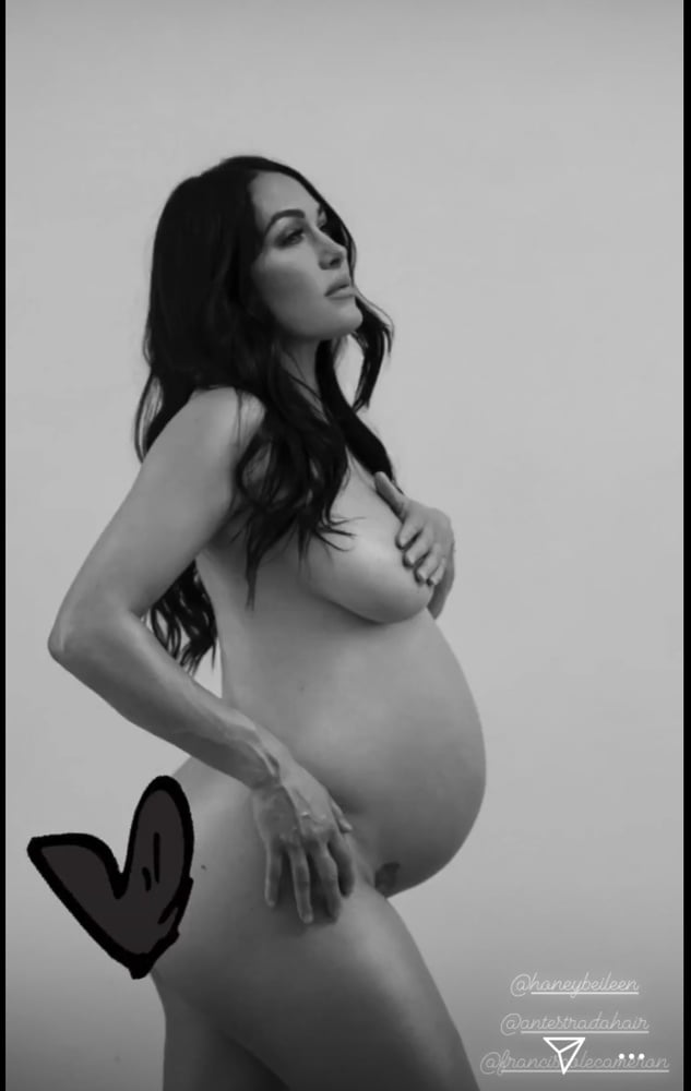 Bella Twins Porn Site - Bella Twins nude and pregnant Porn Pictures, XXX Photos, Sex Images  #3795523 - PICTOA