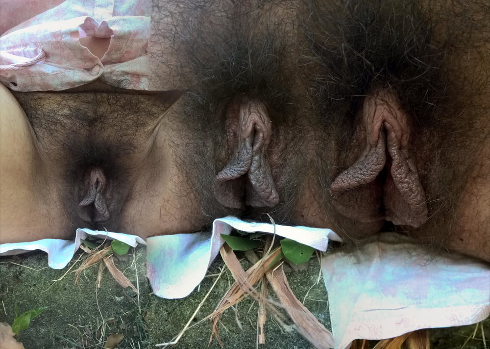 Joytwosex - collage de matorrales
 #106781969