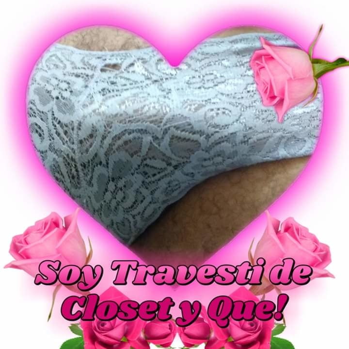 私のTバックとパンティー
 #91608889