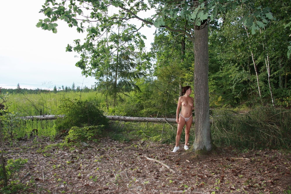 Tree Huggers 369 #91952981