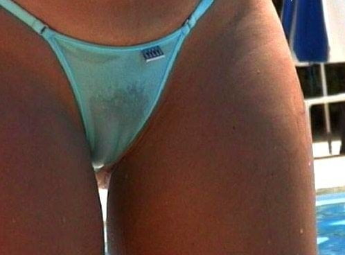 Camel Toes #95271947