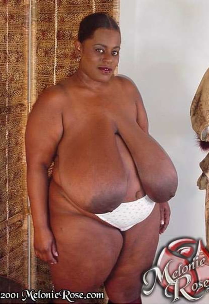 Gordinhas Que Admiro 55(BBWs That I Admire 55) #88361162