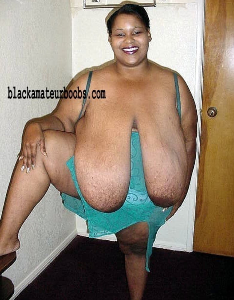Gordinhas Que Admiro 55(BBWs That I Admire 55) #88361165