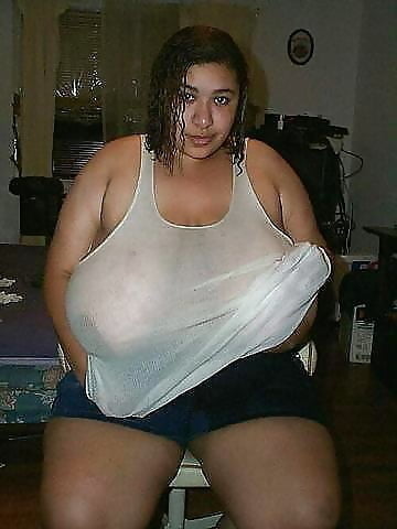 Gordinhas Que Admiro 55(BBWs That I Admire 55) #88361356
