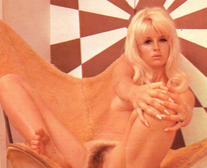 1960s Chicks Nude 2 #106458077