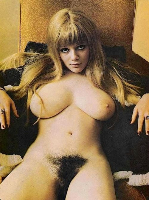 1960s Chicks Nude 2 #106458082
