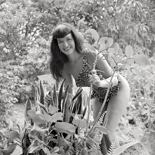 Bettie Page #96457074