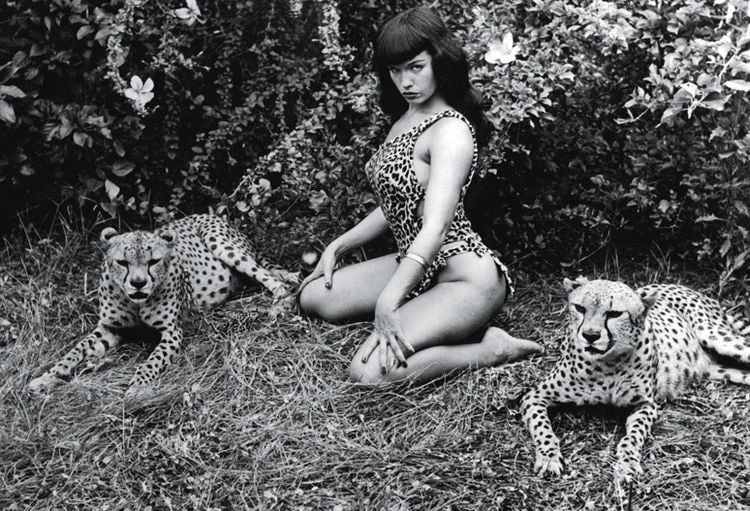 Bettie Page #96457361