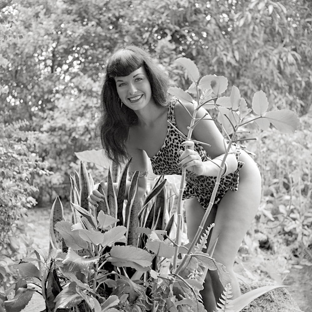 Bettie Page #96457363