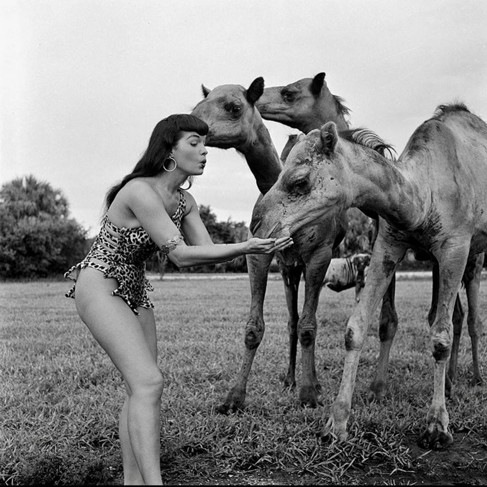 Bettie Page #96457388