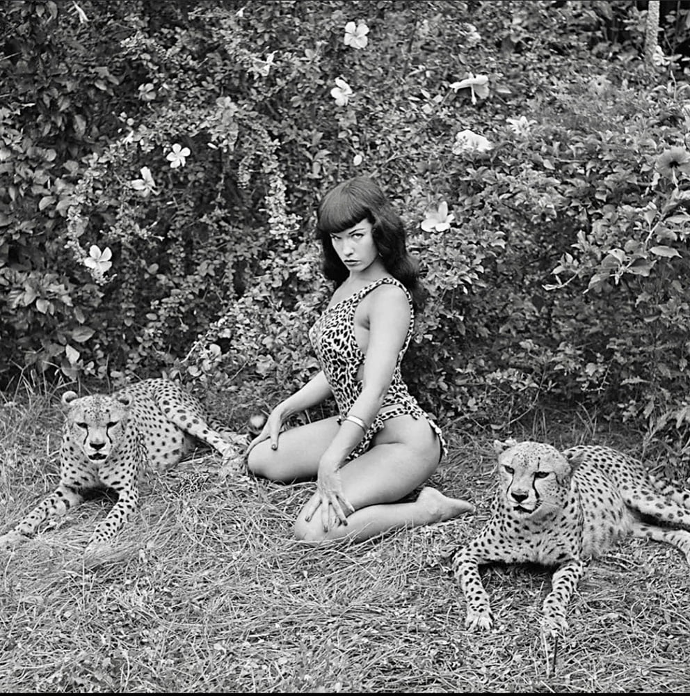 Bettie Page #96457394