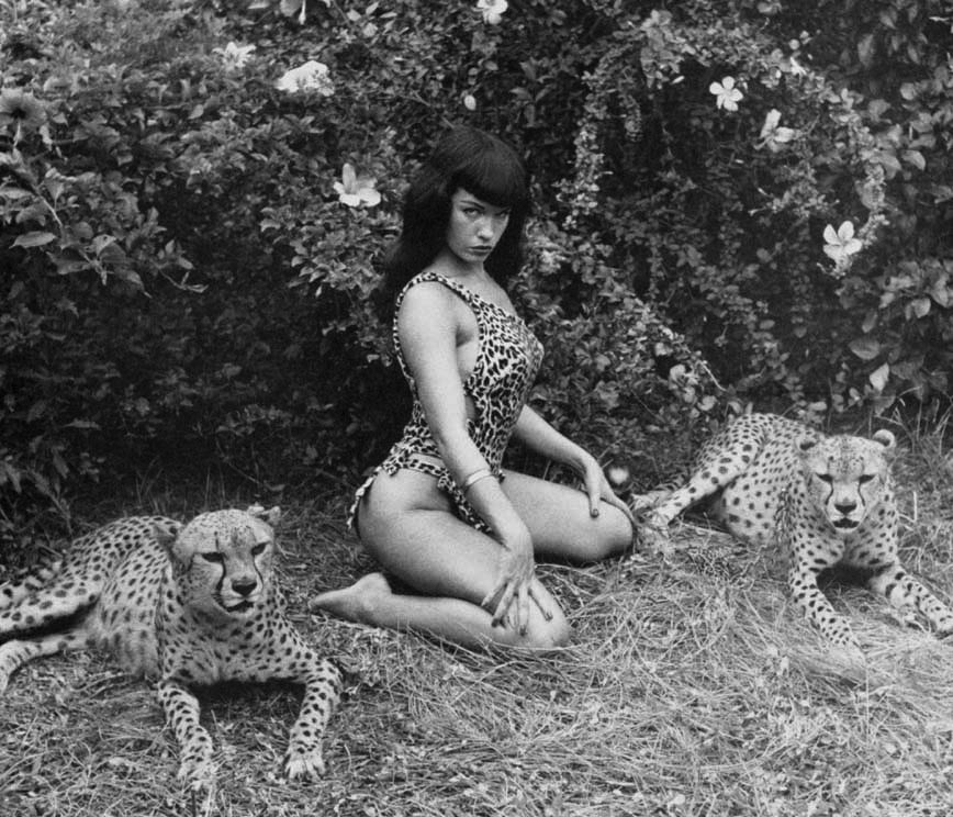 Bettie Page #96457445