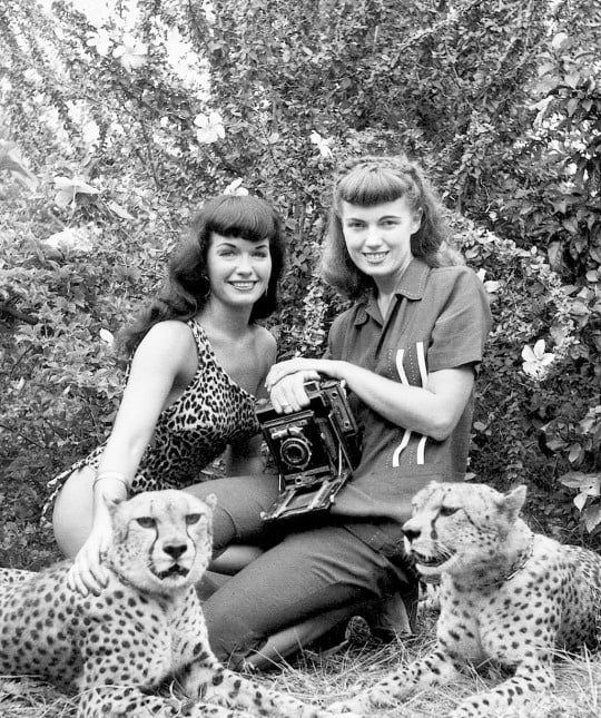 Bettie Page #96457451
