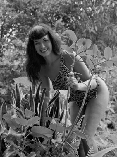 Bettie Page #96458346