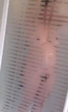 sous la douche #87424865