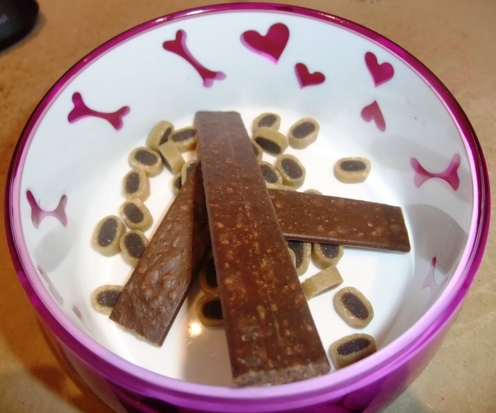 Huendchen meiner Goettin #93091249