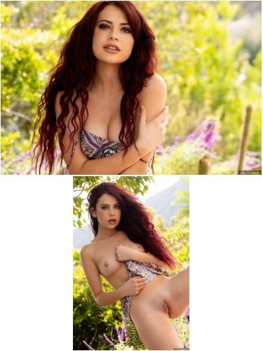Redheads Dressed &amp; Undressed 24 #98984084