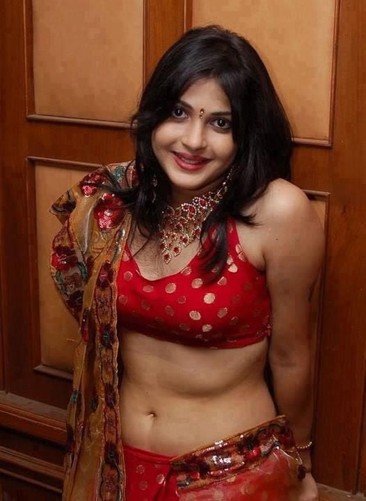 Indian saree and blouse 2 #88307123