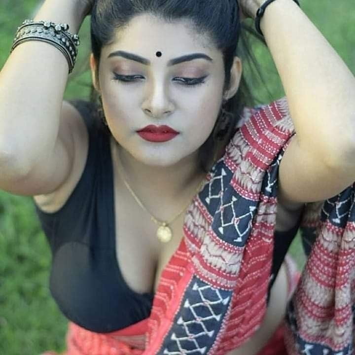 Indian saree and blouse 2 #88307129