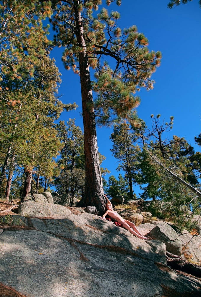 Tree Huggers 382 #88984693