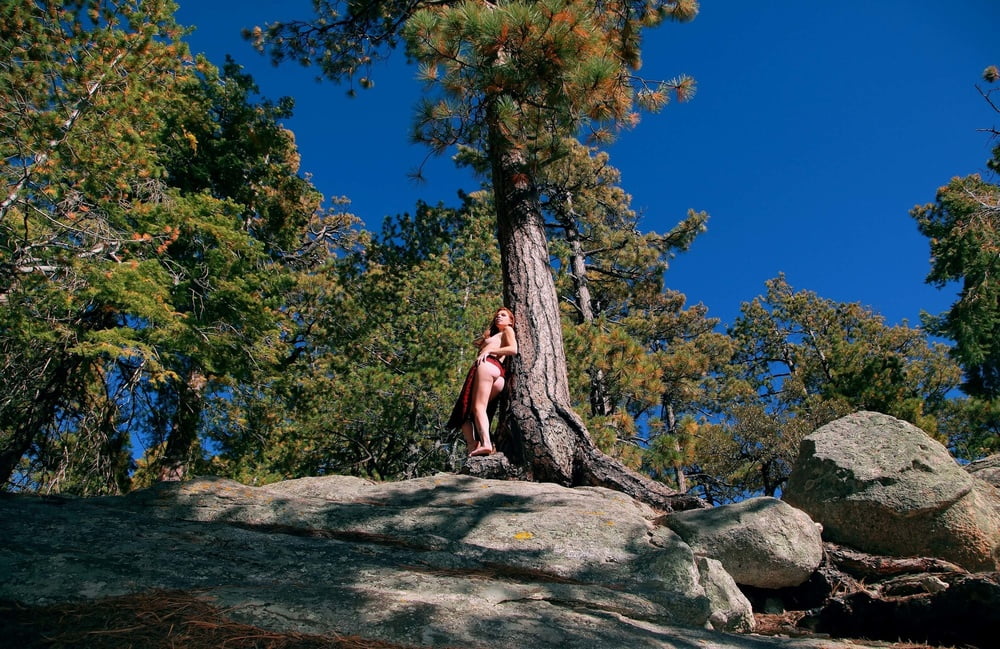 Tree Huggers 382 #88984716