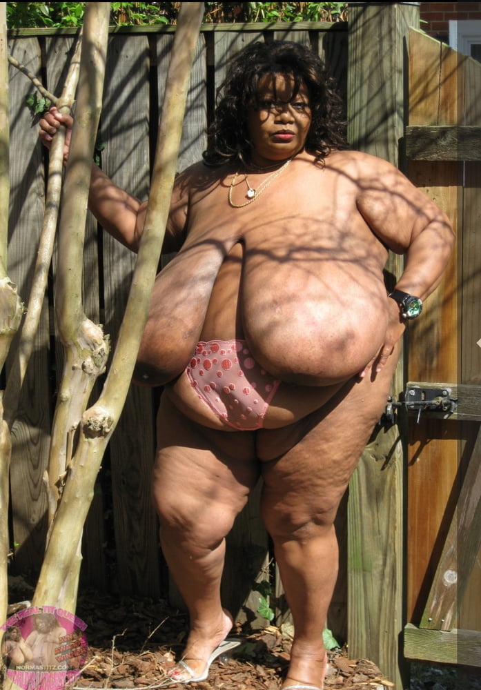 Gordinhas Que Admiro 54(BBWs That I Admire 54) #91323309