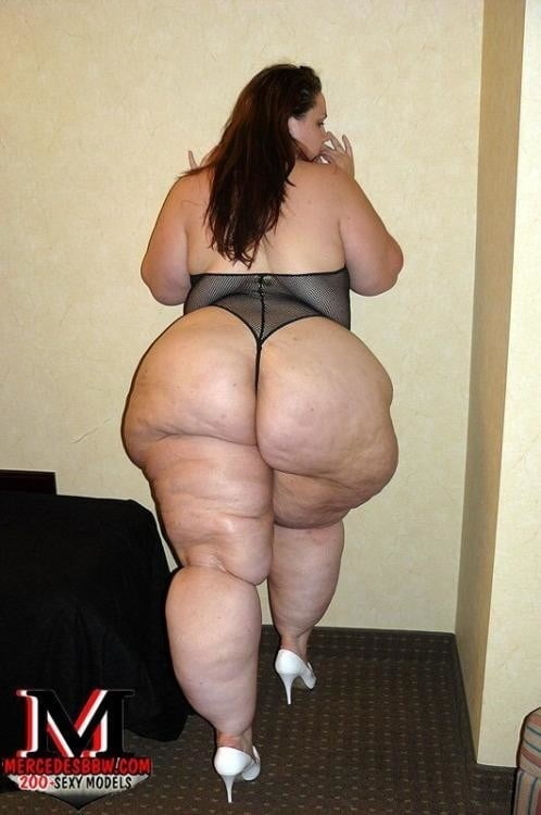 Gordinhas Que Admiro 54(BBWs That I Admire 54) #91323810