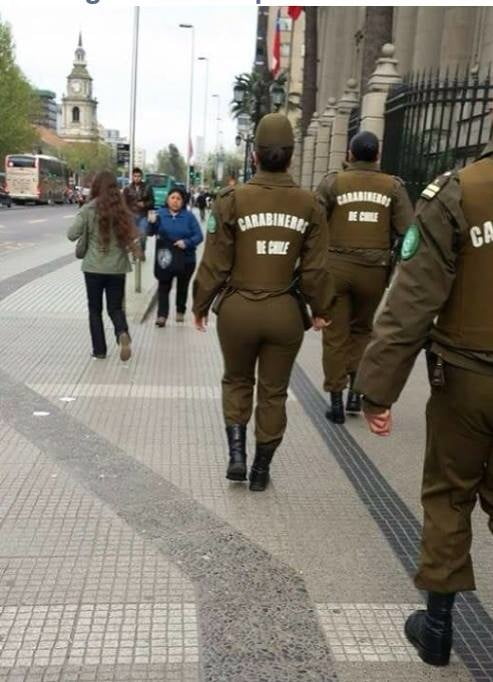 Polizei Frauen
 #81800449