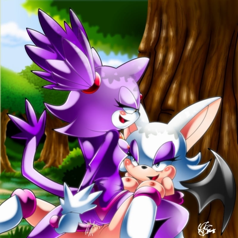 Sonic franchise hentai #95380118