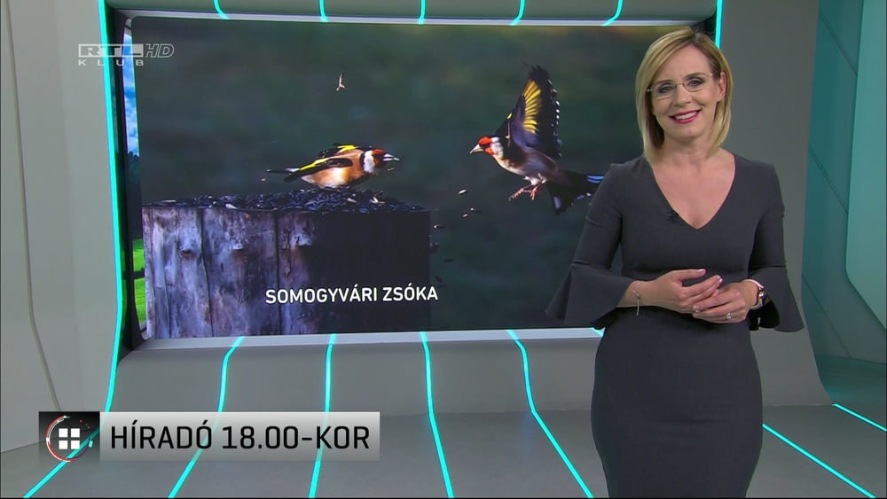Zita pataki (presentatore tv ungherese) milf non nuda
 #92168370