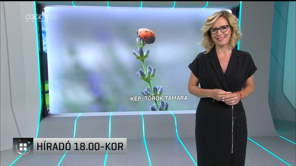 Zita pataki (presentatore tv ungherese) milf non nuda
 #92168382