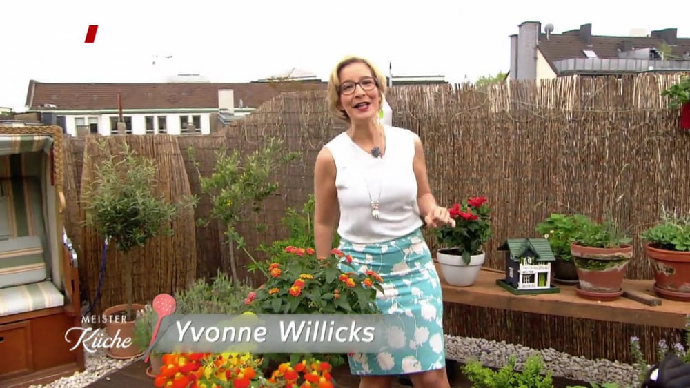 German TV Milf Yvonne Willicks #92199043