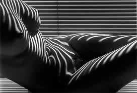 Black and white #94884359