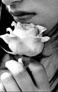 Black and white #94884467