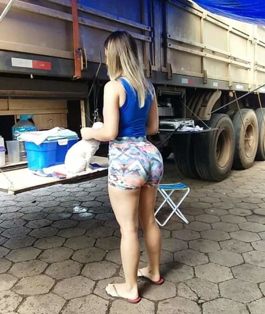 Caminhoneira de SC #96650693