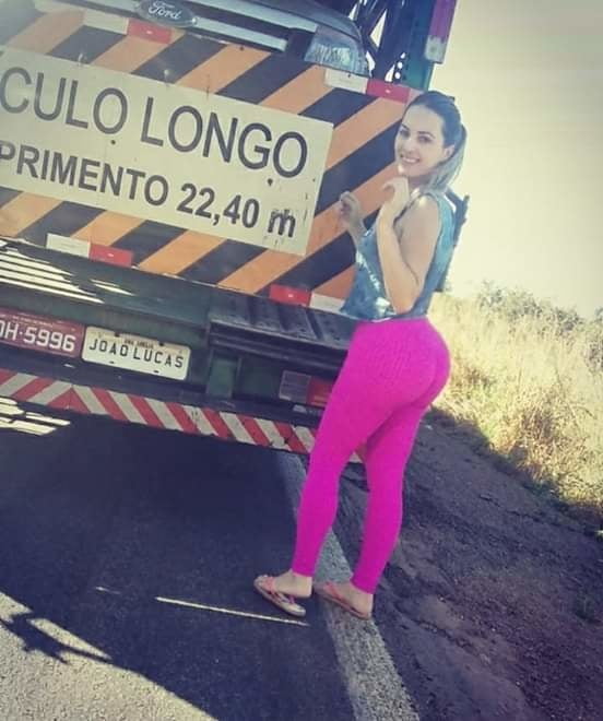 Caminhoneira de SC #96650707